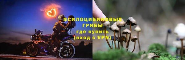 твердый Михайловка