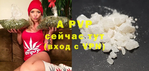 гашик Михайловск