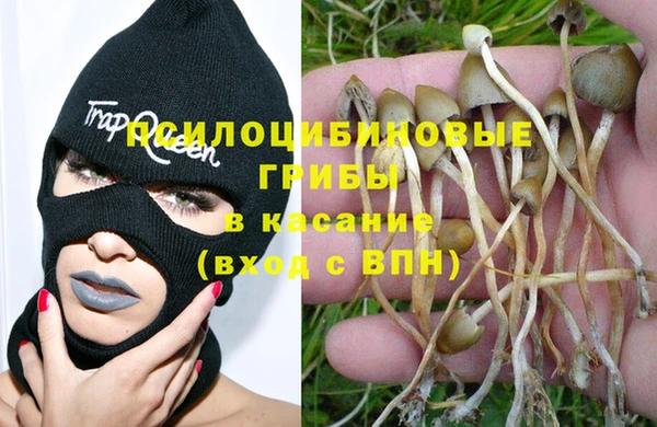 твердый Михайловка