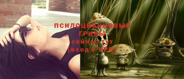 гашик Михайловск