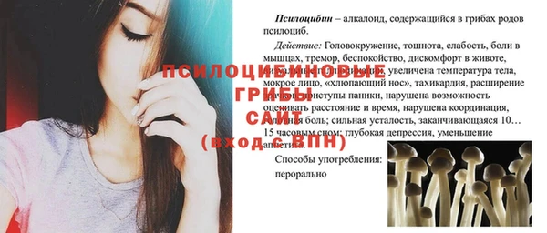 гашик Михайловск